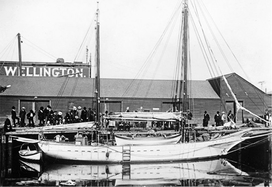 Snark-at-port Snark-at-port