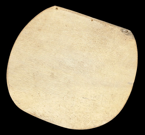 1886.1.1146 1886.1.1146