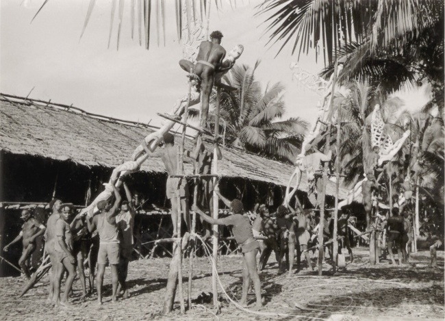 Des personnes en train de grimper sur des structures en bois, participant à une activité communautaire en plein air, entourées de palmiers et d'une maison en arrière-plan.