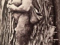 Les charmes de guerre des îles de l&rsquo;Amirauté
